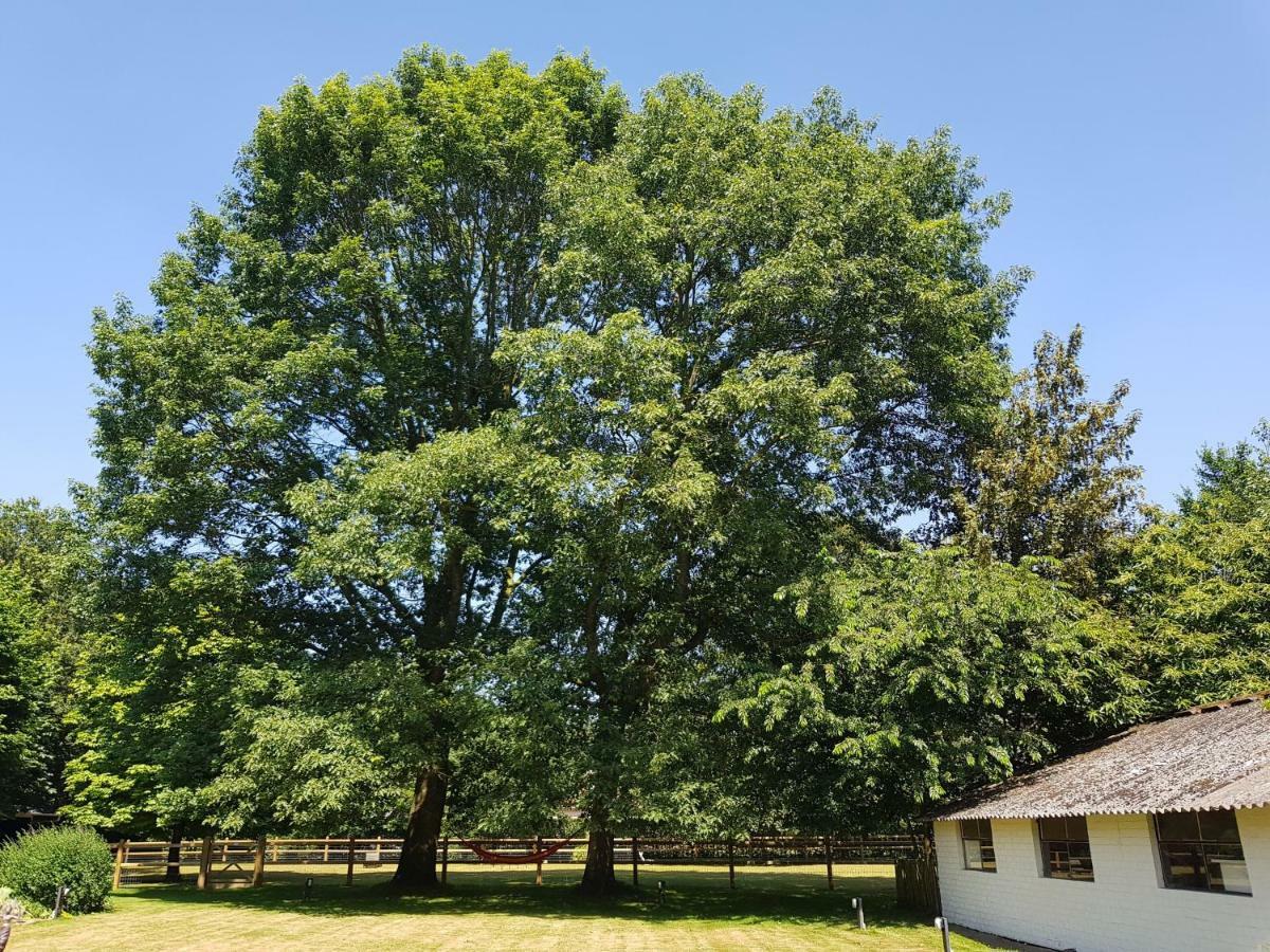 The Two Oaks Villa Hertsberge Exterior photo